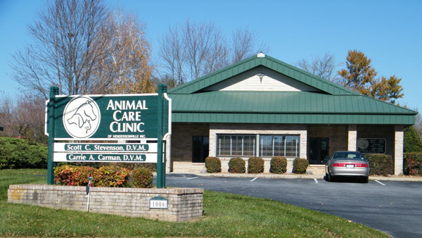 Home - Animal Care Clinic Of Hendersonville NC